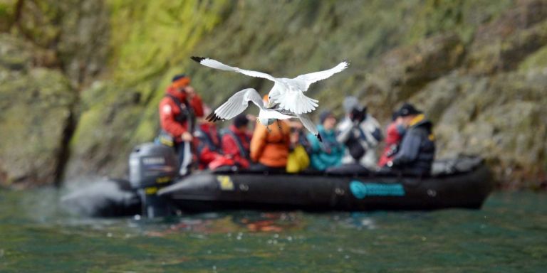 M/V HONDIUS - Ekspedicijsko krstarenje - Sjeverni Spitsbergen