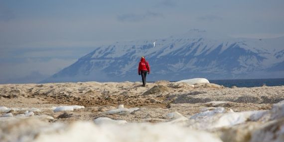 M/V PLANCIUS - Sjeverni Spitsbergen - u potrazi za  polarnim medvjedom