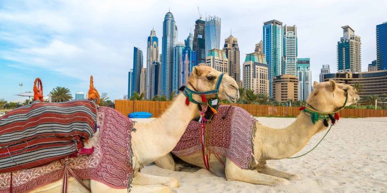 Dubai Fly - 6 dana